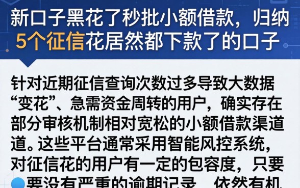 新口子黑花了秒批小额借款，归纳5个征信花居然都下款了的口子