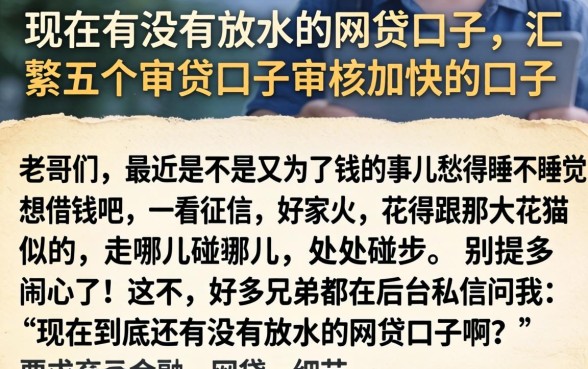 现在有没有放水的网贷口子，汇整五个审贷口子审核加快的口子