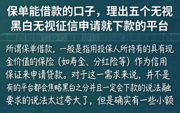 保单能借款的口子，理出五个无视黑白无视征信申请就下款的平台