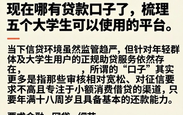 现在哪有贷款口子了，梳理五个大学生可以使用的平台