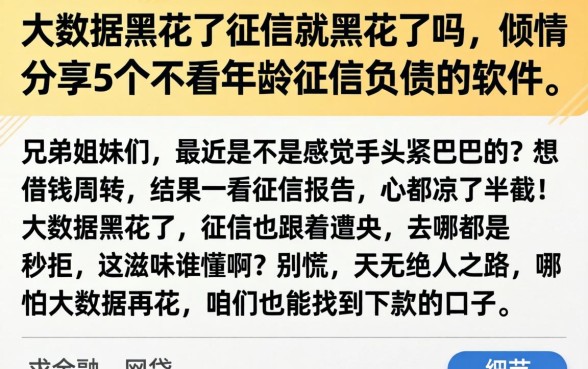 大数据黑花了征信就黑花了吗,倾情分享5个不看年龄征信负债的软件