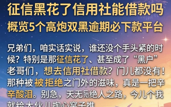 征信黑花了信用社能借款吗，概览5个高炮双黑逾期必下款平台