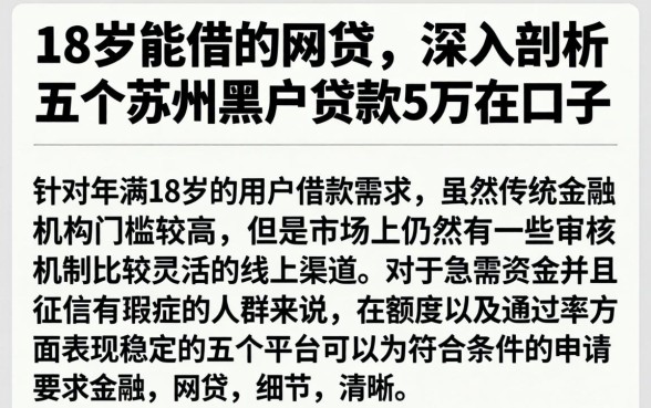 18岁能借的网贷，深入剖析五个苏州黑户贷款5万的口子