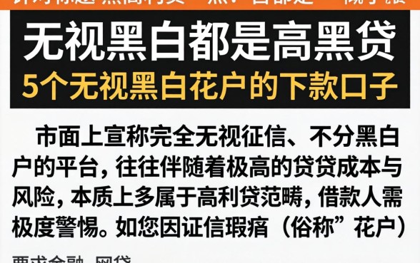 无视黑白都是高利贷，概括5个无视黑白花户的下款口子