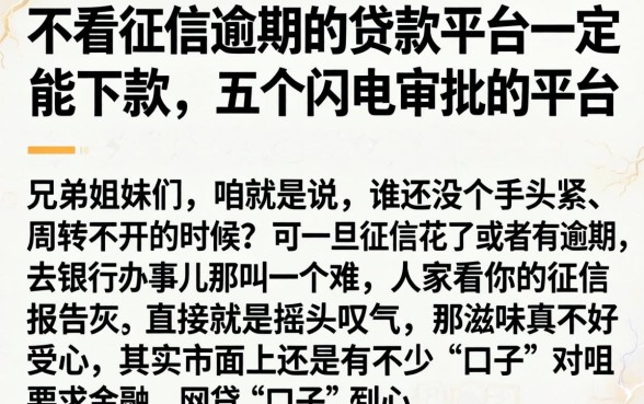 不看征信逾期的贷款平台一定能下款，详细阐述五个闪电审批的平台