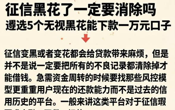 征信黑花了一定要消除吗，遴选5个无视黑花能下款一万元口子