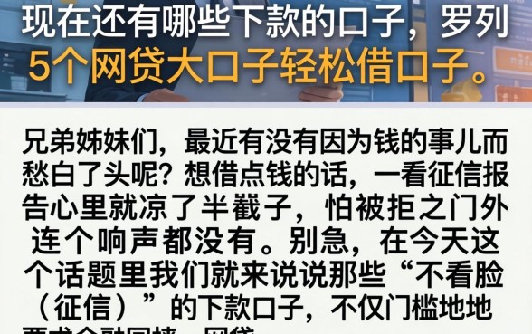 现在还有哪些下款的口子，罗列5个网贷大口子轻松借口子
