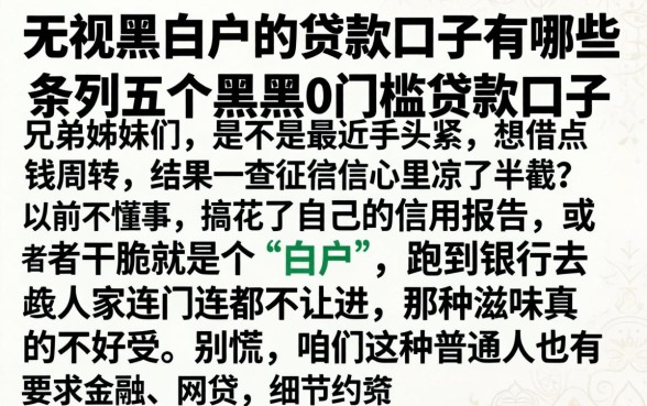 无视黑白户的贷款口子有哪些，条列五个黑户0门槛贷款口子