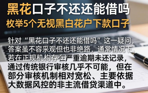 黑花口子不还还能借吗，枚举5个无视黑白花户的下款口子