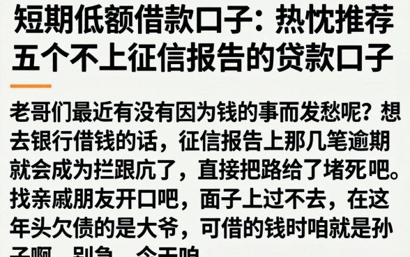 短期低额借款口子，热忱推荐五个不上征信报告的贷款口子