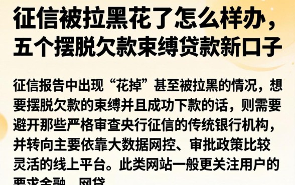 征信被拉黑花了怎么样办，概括五个摆脱欠款束缚贷款新口子