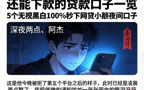 还能下款的贷款口子一览，概括5个无视黑白100%秒下网贷小额夜间口子