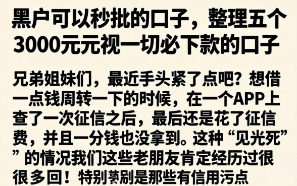 黑户可以秒批的口子，整理五个3000元无视一切必下款的口子