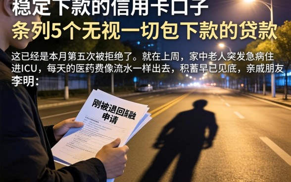 稳定下款的信用卡口子，条列5个无视一切包下款的贷款