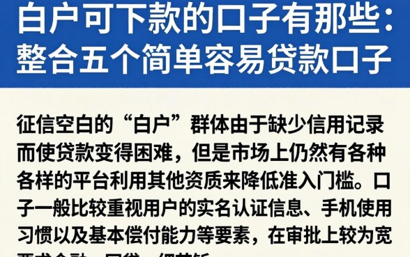 白户可下款的口子有那些，整合五个简单容易贷款口子