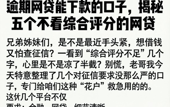 逾期网贷能下款的口子，揭秘五个不看综合评分的网贷