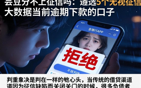 芸豆分不上征信吗,遴选5个无视征信大数据当前逾期下款的口子