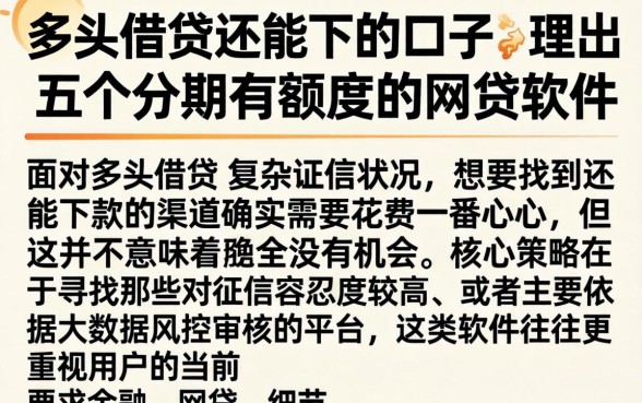 多头借贷还能下的口子，理出五个分期有额度的网贷软件