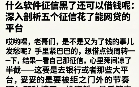 什么软件征信黑了还可以借钱呢，深入剖析五个征信花了能网贷的平台