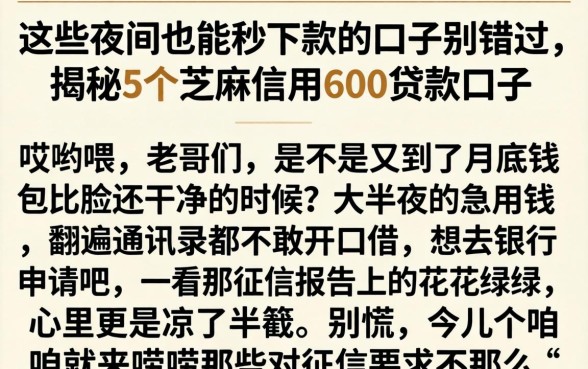 这些夜间也能秒下款的口子别错过，揭秘5个芝麻信用600贷款口子