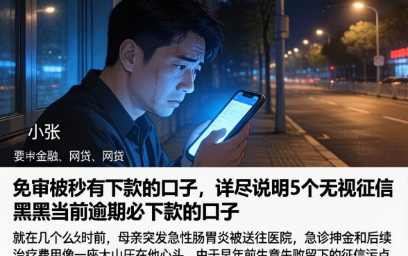 免审核秒有下款的口子，详尽说明5个无视征信黑户当前逾期必下款的口子