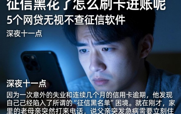 征信黑花了怎么刷卡进账呢，详尽说明5个网贷无视不查征信软件