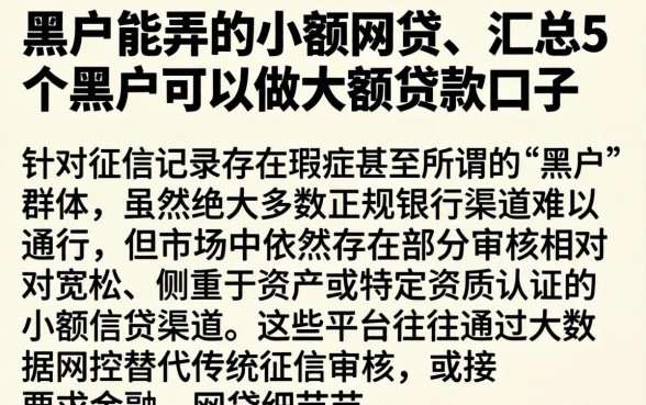 黑户能弄的小额网贷,汇总5个黑户可以做大额贷款口子
