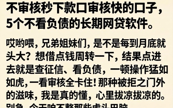 不审核秒下款口审核快的口子，详细阐述5个不看负债的长期网贷软件