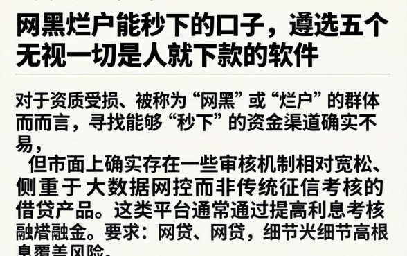 网黑烂户能秒下的口子，遴选五个无视一切是人就下款的软件