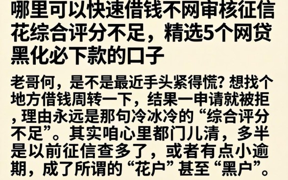 哪里可以快速借钱不用审核征信花综合评分不足，精选5个网贷黑户必下款的口子