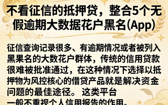 不看征信的抵押贷，整合5个无视逾期大数据花户黑户app