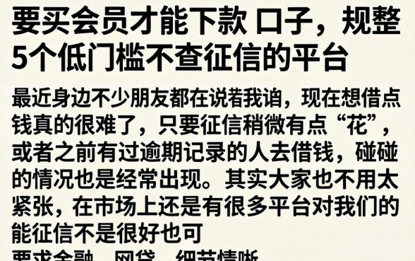 要买会员才能下款的口子，规整5个低门槛不查征信的平台