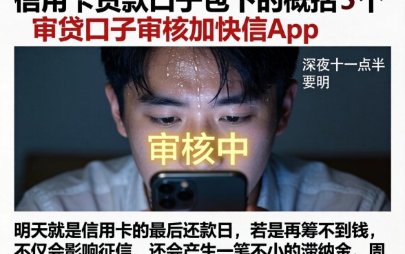 信用卡贷款口子包下的，概括5个审贷口子审核加快的app