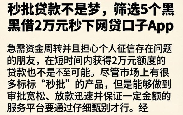秒批贷款不是梦，筛选5个黑户借2万元秒下网贷口子app