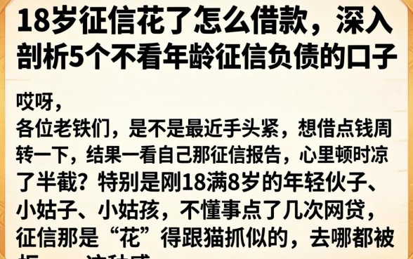 18岁征信花了怎么借款，深入剖析5个不看年龄征信负债的口子