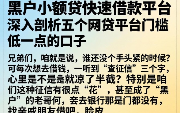 黑户小额贷快速借款平台，深入剖析五个网贷平台门槛低一点的口子