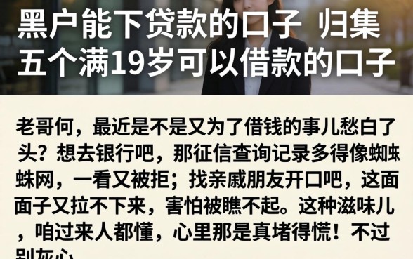 黑户能下贷款的口子，归集五个满19岁可以借款的口子
