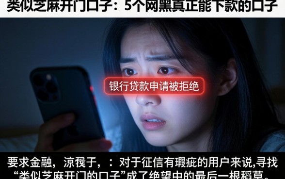 类似芝麻开门的口子，概括5个网黑真正能下款的口子