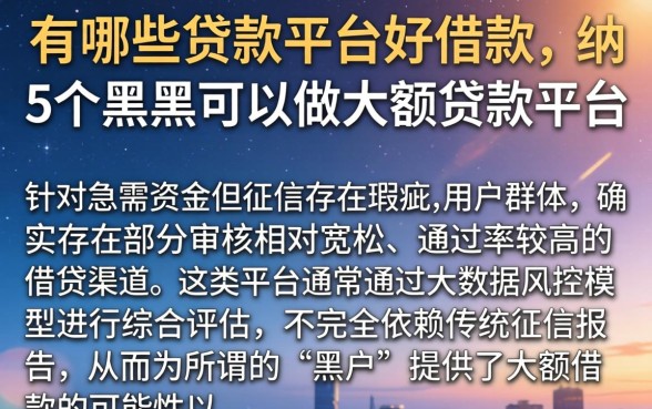有哪些贷款平台好借款，归纳5个黑户可以做大额贷款平台