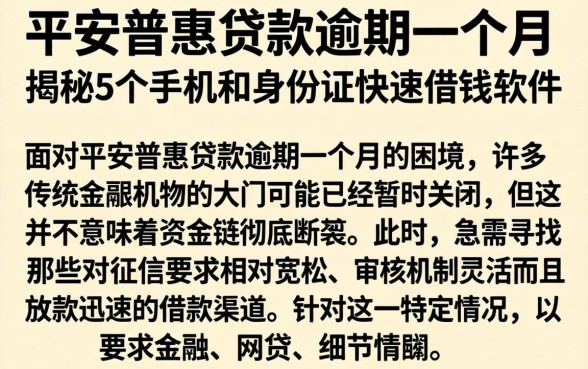 在平安普惠贷款逾期一个月，揭秘5个手机和身份证快速借钱软件