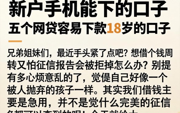 新户手机能下的口子，概括五个网贷容易下款18岁的口子