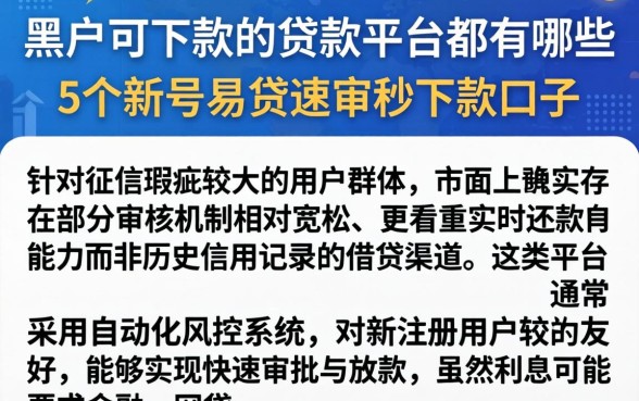 黑户可下款的贷款平台都有哪些，概括5个新号易贷速审秒下款口子