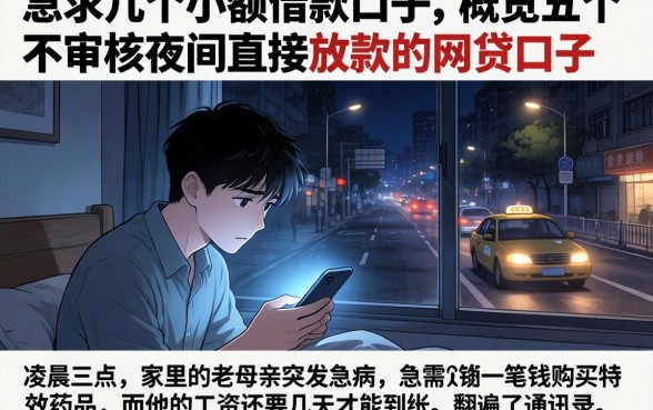 急求几个小额借款口子，概览五个不审核夜间直接放款的网贷口子