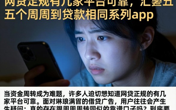 网贷正规的有几家平台可靠,汇整五个周周到贷款相同系列的app