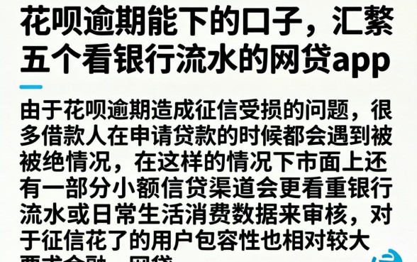 花呗逾期能下的口子,汇整五个看银行流水的网贷app