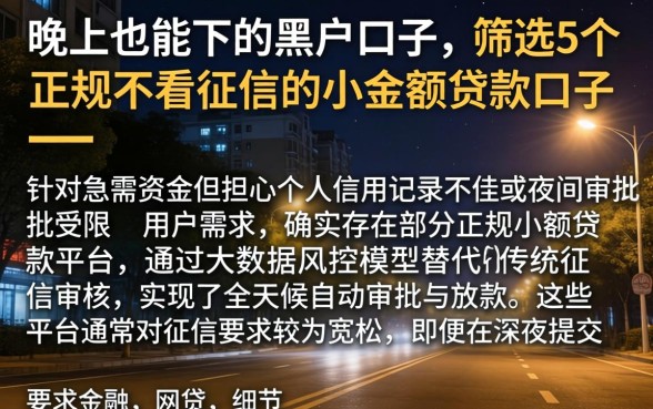 晚上也能下的黑户口子，筛选5个正规不看征信的小额贷款口子