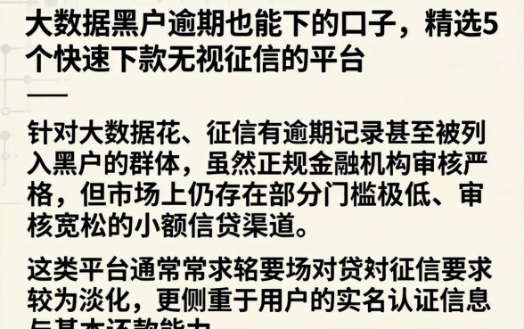 大数据黑户逾期也能下的口子，精选5个快速下款无视征信的平台