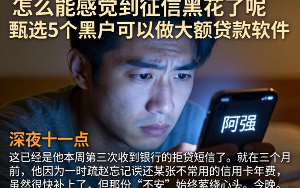 怎么能感觉到征信黑花了呢，甄选5个黑户可以做大额贷款软件