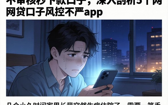 不审核秒下款的口子，深入剖析5个网贷口子风控不严的app