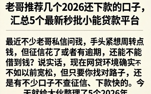 老哥推荐几个2026还下款的口子，汇总5个最新秒批小额贷款平台